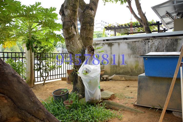 Loyang Villas (D17), Terrace #149229842